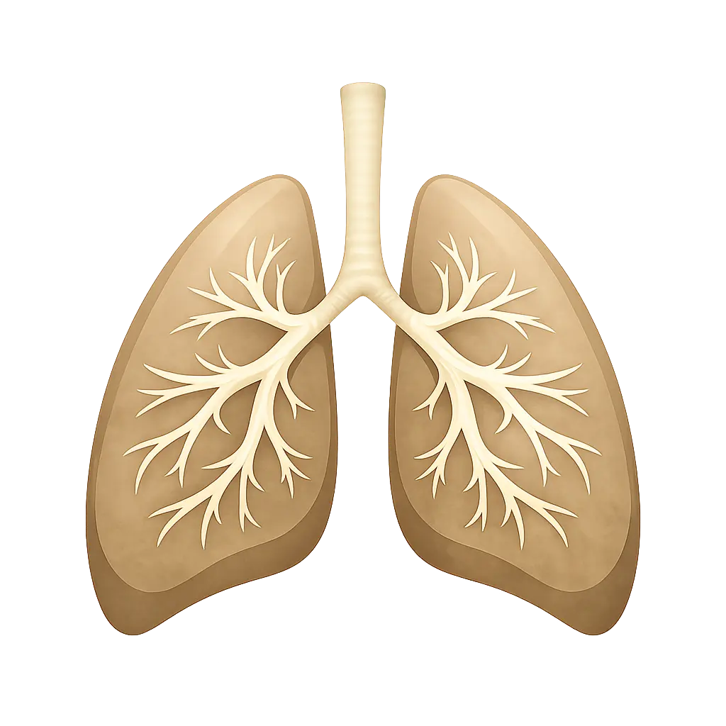Respiratory icon